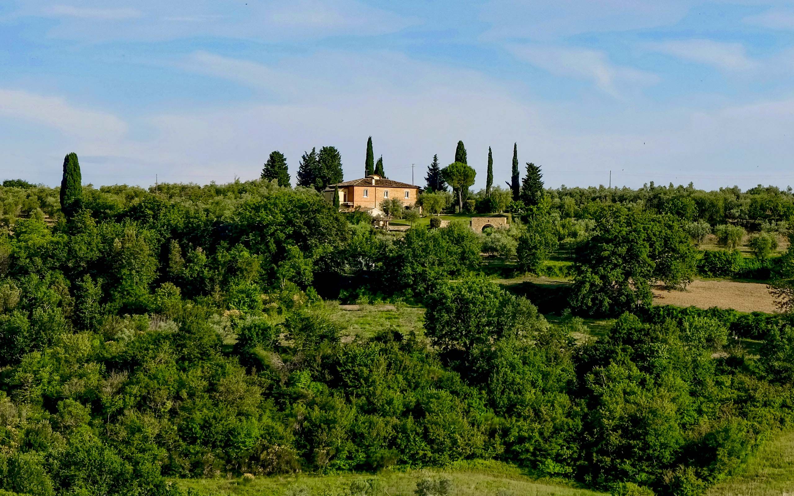 Podere Il Poggino